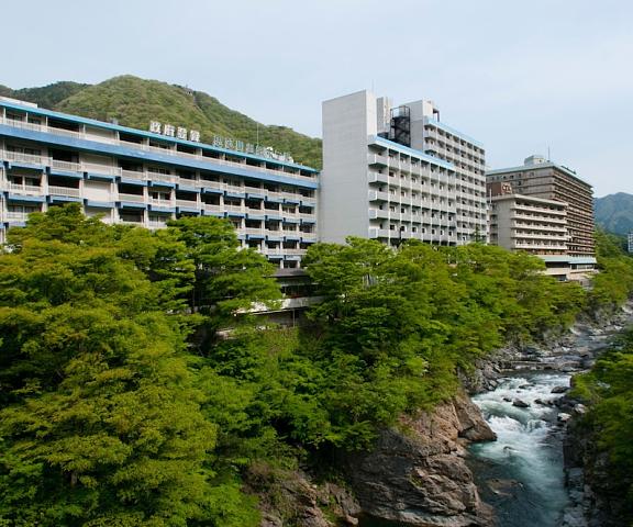 Kinugawa Onsen Hotel Tochigi (prefecture) Nikko Exterior Detail