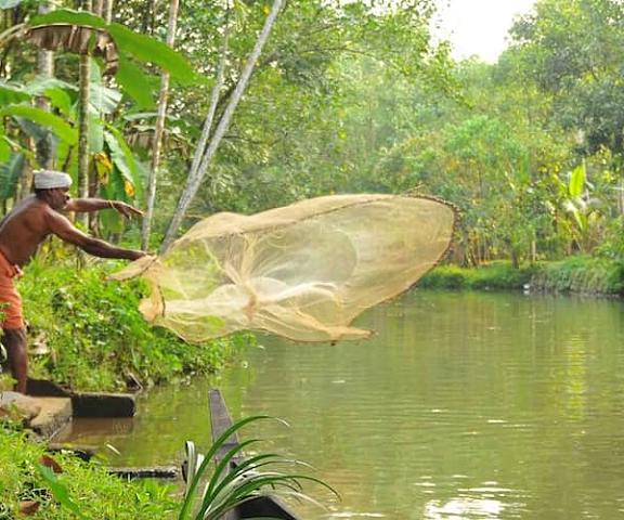 Kuttickattil Gardens Homestay Kerala Kottayam Suroundings
