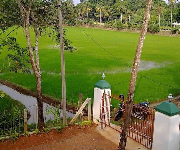 Kuttickattil Gardens Homestay Kerala Kottayam View from Property
