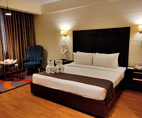 Comfort Hotel Vista image 4 