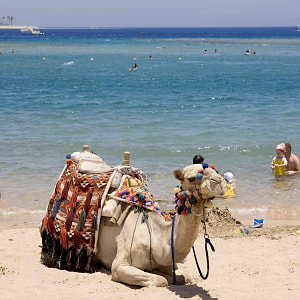  Hurghada Beach