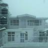 Dolphin Cottage Home Stay Shimla
