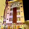 Hotel Sunflower Udaipur