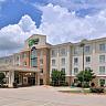 Holiday Inn Express Hotel & Suites Sherman Highway 75, an IHG Hotel