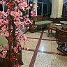 Hotel Banyuwangi Sintera