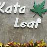 Kata Leaf Resort