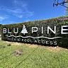 BLU PINE Villa & Pool Access
