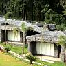 BRYS CAVES, The Jungle Resort