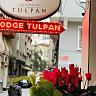 The House of Tulpan